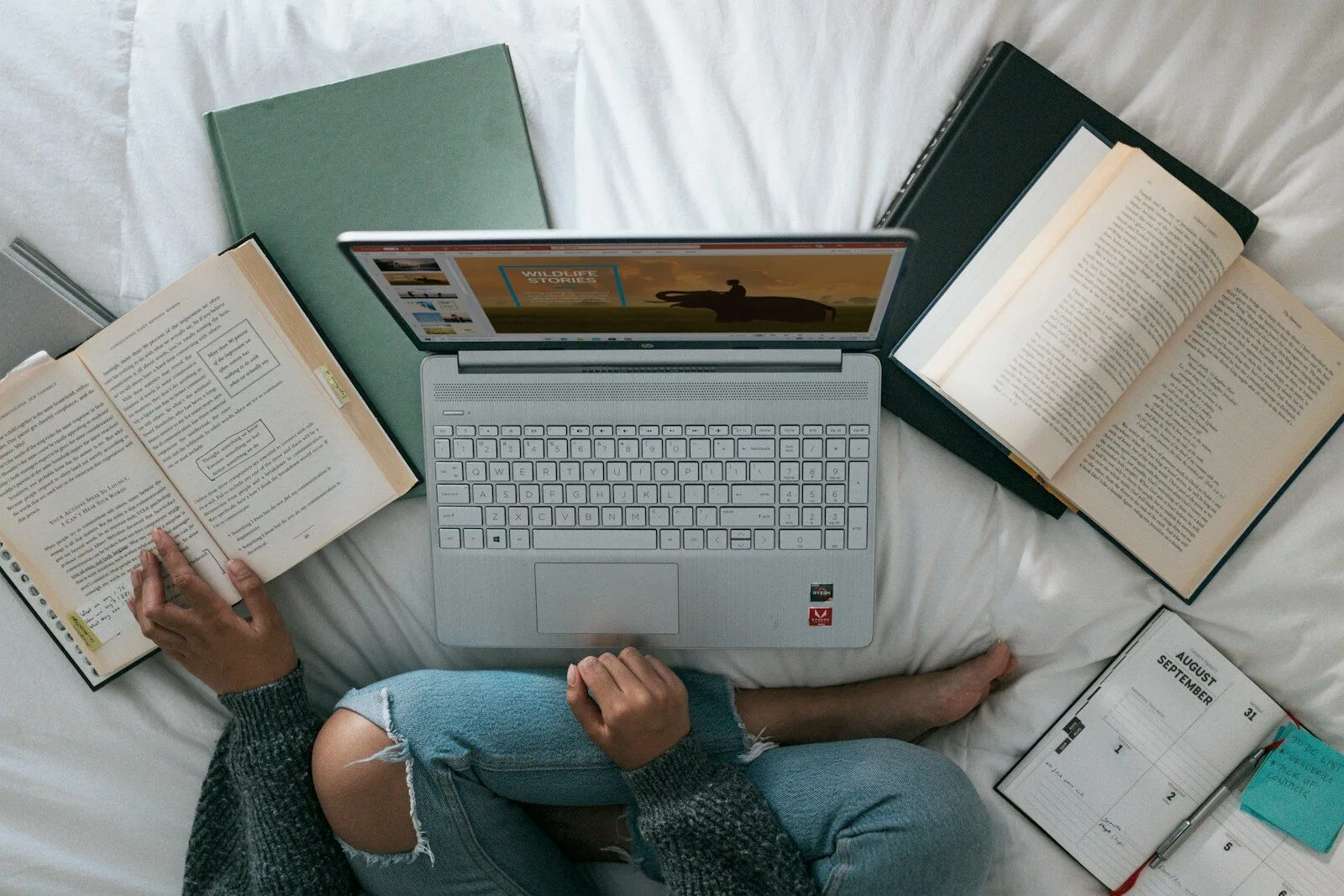 online academic expert helping student with assignment structure